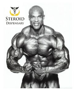Buy Anabolic steriod Bulking Cycle Offer 2